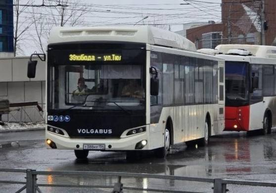 Новые автобусы